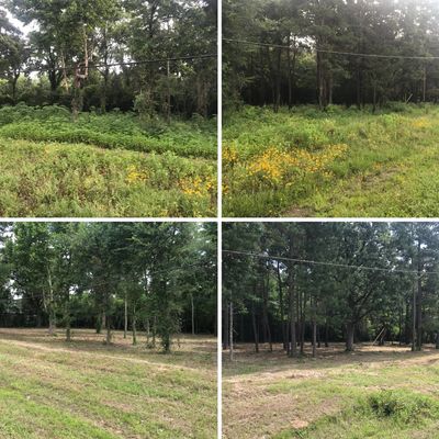 under brushing / hydro-axe services