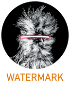 Watermark Arms