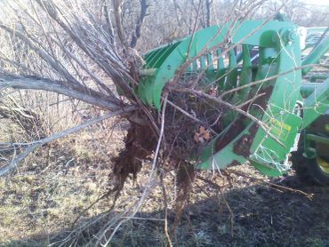 John Deere tractor with a loader and grapple, moving brush and roots. 