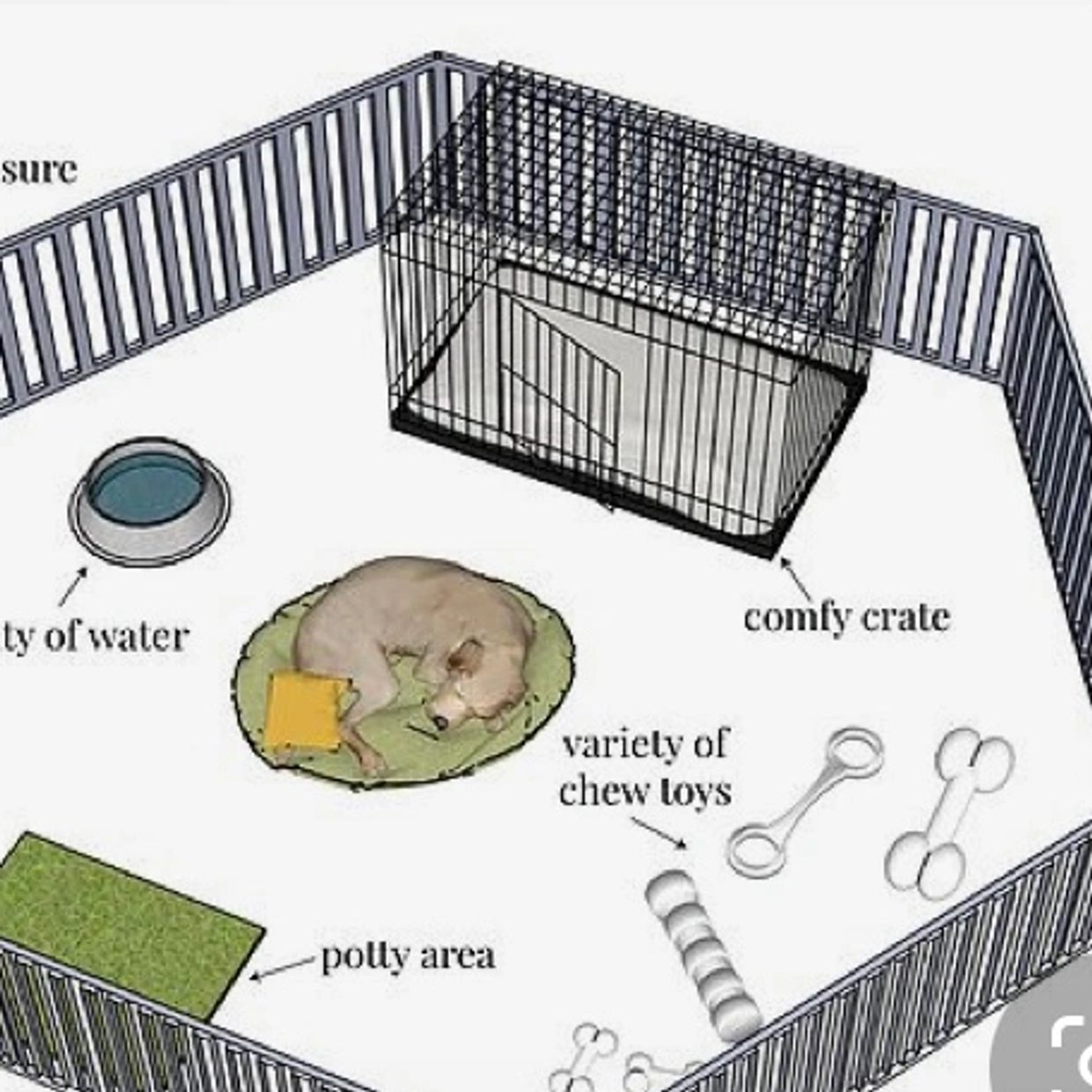 How to Set Up a Puppy Playpen