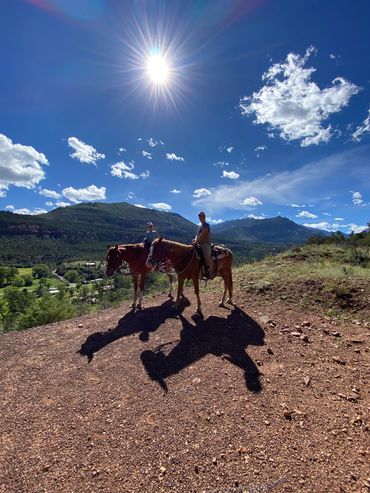 Red mares trail riding