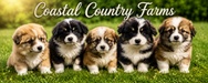 Coastal Country Farms