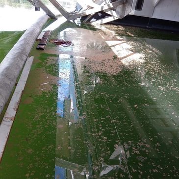 Water surface with scattered debris and reflections of buildings and structures.