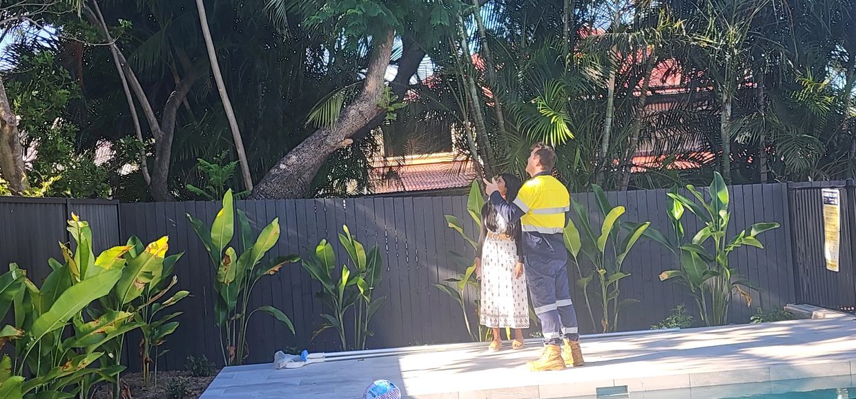 Two people looking at a tree near a pool.