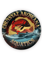 Chuysyaz Arowana Aquatics