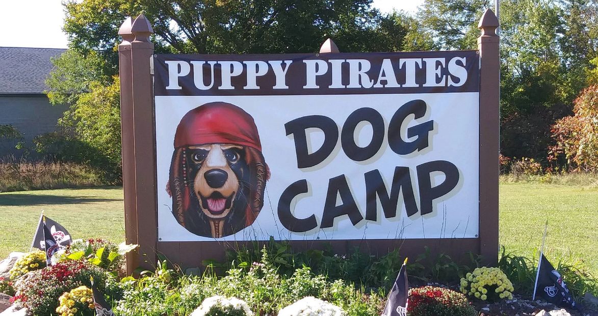 Puppy Pirates Dog Camp