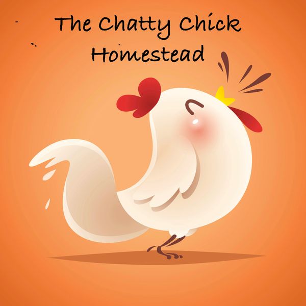 Cartoon chicken with text 'The Chatty Chick Homestead' on orange background.