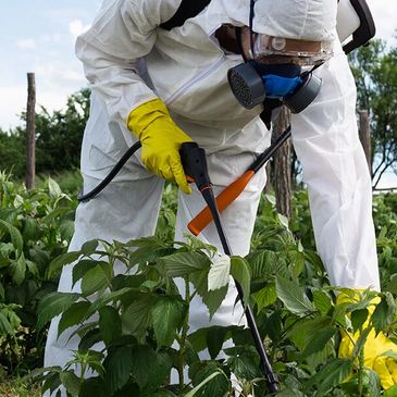 Lawsuits against Paraquat makers over health risks, linked to Parkinson’s and compensation.