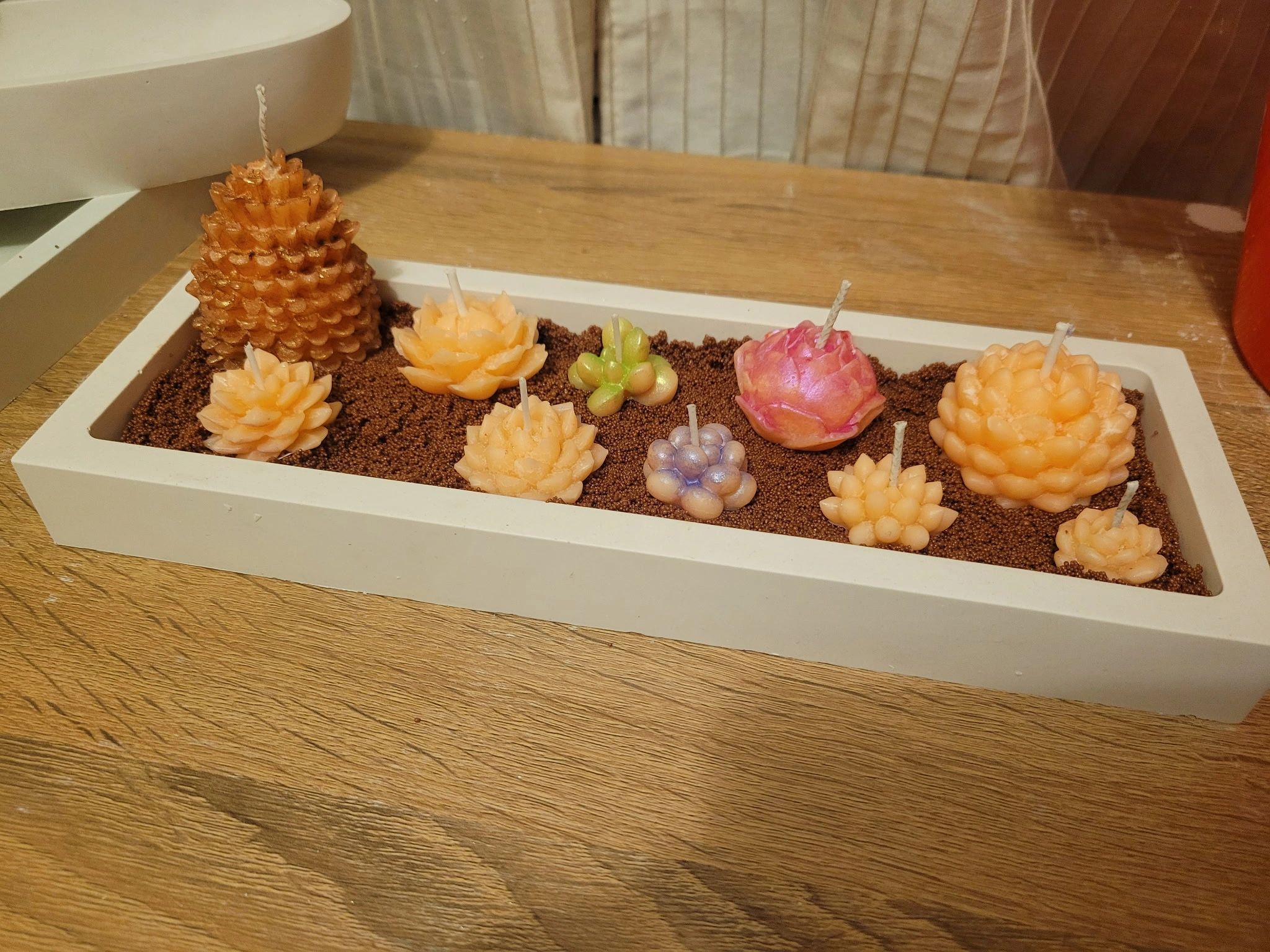Succulent Candle Set