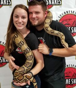 boa, show owners, reptile events, reptile shows, reptile lovers, show me snakes, show me show