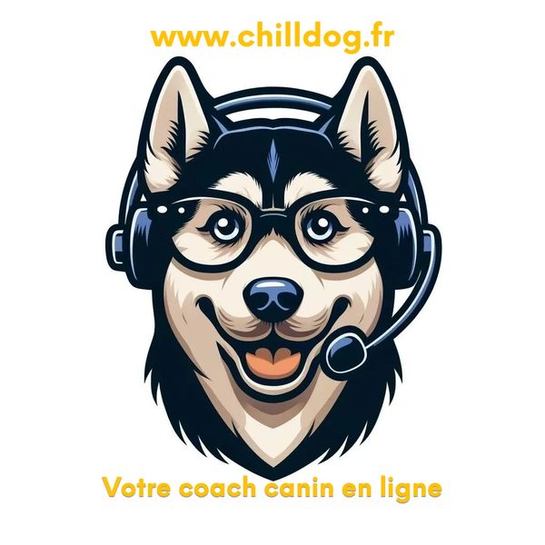 LOGO chilldog