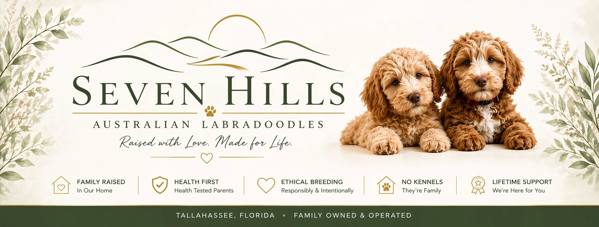 Choosing a Breeder - Seven Hills Australian Labradoodles