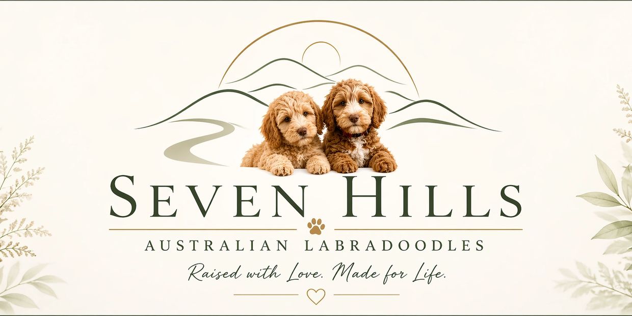 Logo for Seven Hills Australian Labradoodles with two puppies and mountain design.
