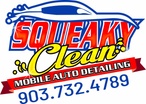 Squeaky Clean Mobile Auto Detailing and Ceramic