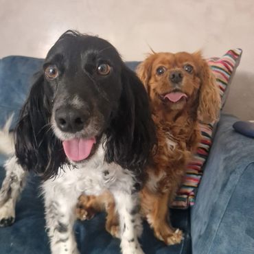 Indie and Ciara loving life during their overnight stay in Sidcup.