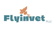 Flyinvet