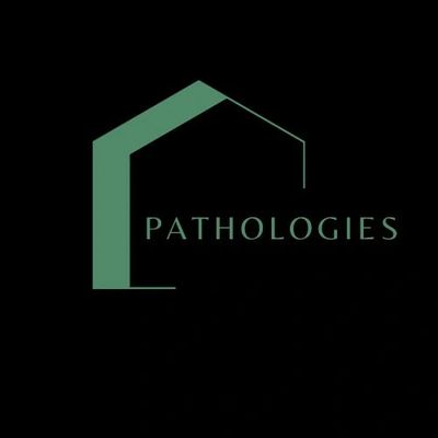 pathologies du bâtiment