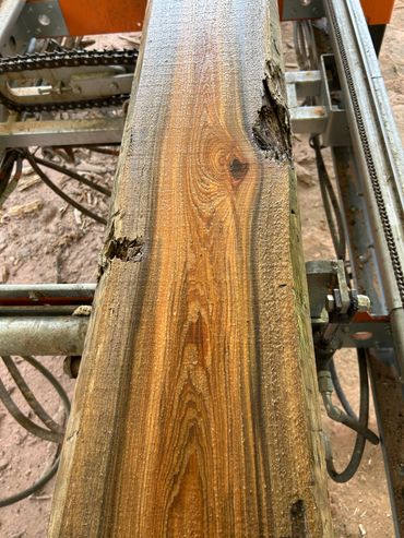 Close-up of a polished wooden plank with visible grain patterns and knots.