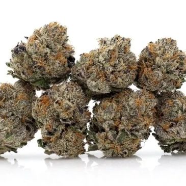 CANNABIS SEEDS - TOP MARIJUANA SEED STRAINS
When you love cannabis, whether you’re a first timer or 