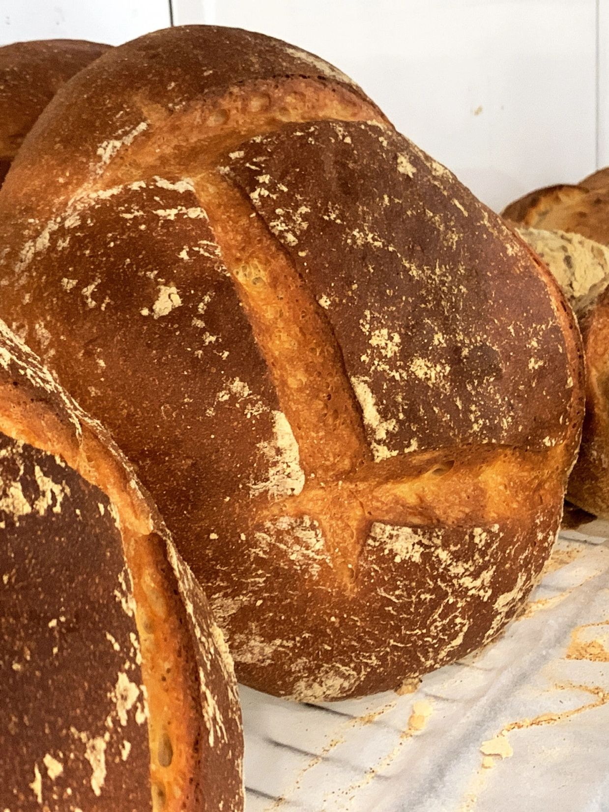 Authentic Italian Bakery Delights La Vita Dolce