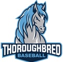 THOROUGHBRED ACADEMY