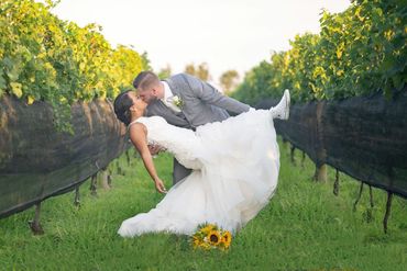Groom dipping a bride in a vineyard