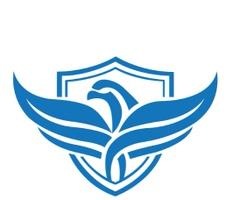Safe Haven Defense, LLC