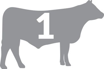 Grey silhouette of a cow with number 1 on it.