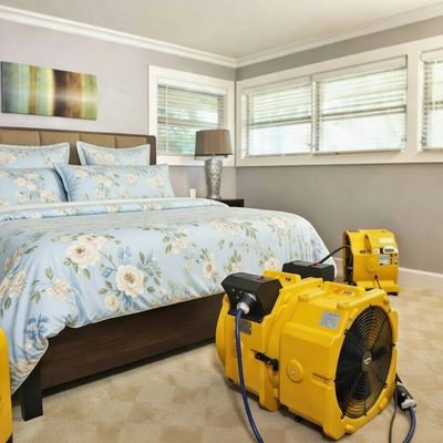 Chemical-Free Bed Bug Removal
Heat treatment setup eliminating bed bugs in Northern Ireland property