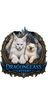 Dragonglass Cattery