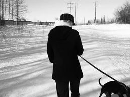 Walking Dog Down Winter Road