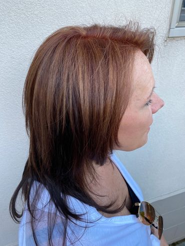 Highlights
