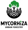 Mycorrhiza Urban Forestry