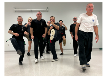 Group of men practicing martial arts kicks in a studio.