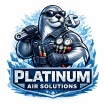 platinumairsolutionsllc.com