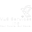 VLS Services Inc