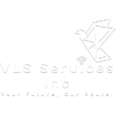VLS Services Inc