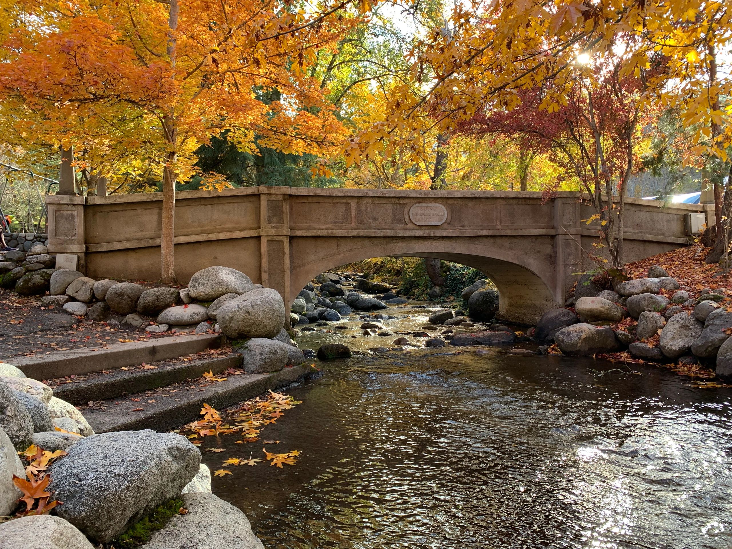 Oregon Wellness Retreat