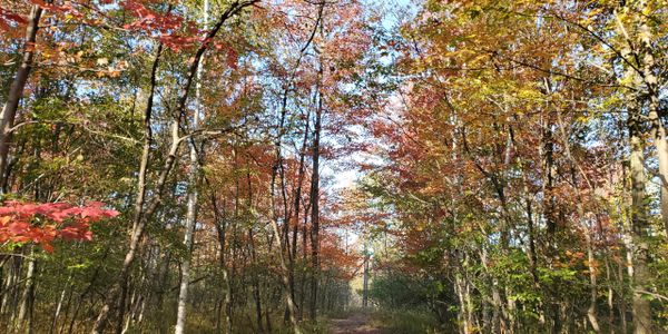 Peaceful hike