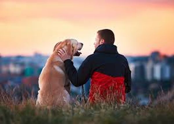 Man and dog sit together, watching the sunset over the city.