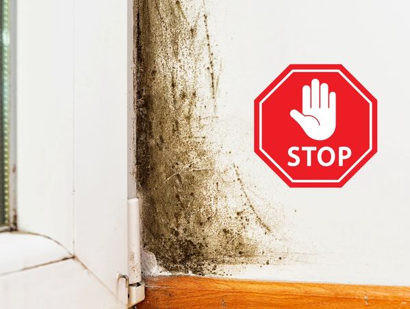 Mold on wall by window with stop sign graphic.