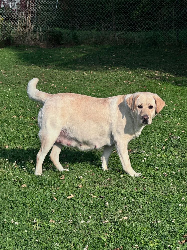 Sunny in her 5th week
