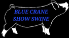 Blue Crane Show Swine