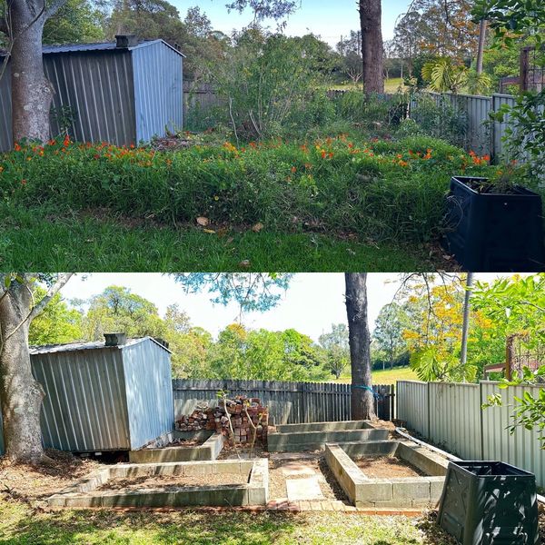 Before and after weeding