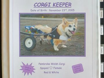 Click pic to get your CORGI KEEPER started!