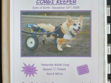 Click pic to get your CORGI KEEPER started!