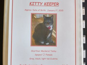 Click pic to get your KITTY KEEPER started!