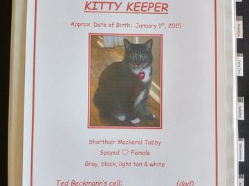 Click pic to get your KITTY KEEPER started!