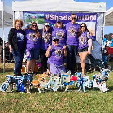 Shade Out DM awareness swag and supplies that help spread the word about Degenerative Myelopathy.