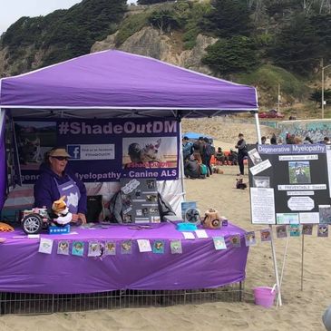 Host a booth in your local area to raise awareness about degenerative myelopathy in dogs #ShadeOutDM